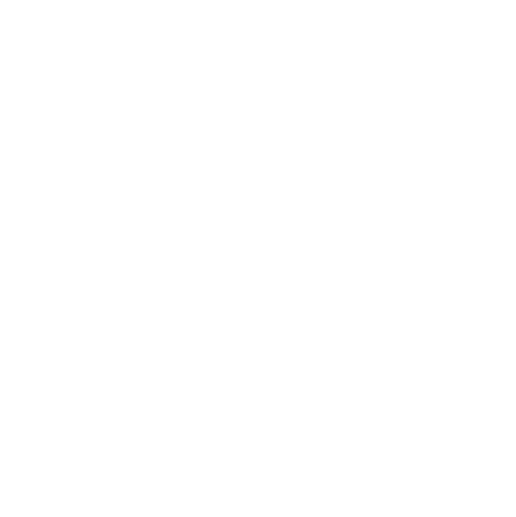 Burgerfi Logo